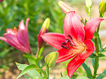 星空体育登录产品展示一