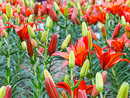 星空体育登录产品展示七