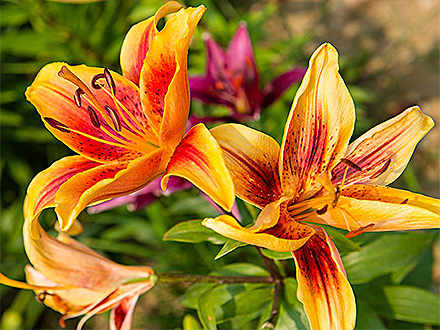 星空体育登录产品展示八