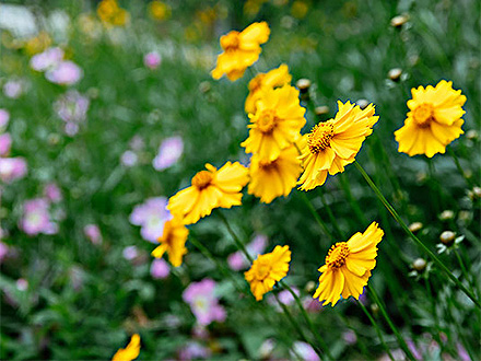 星空体育登录客户案例三